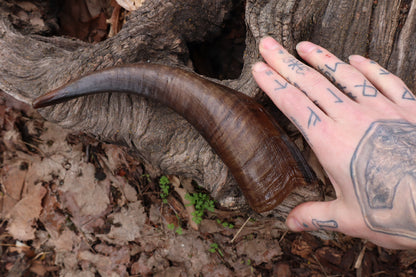 Goat Horn - Single