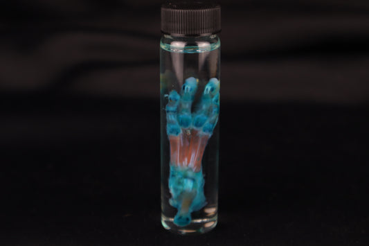 Diaphonized Kitten Paw