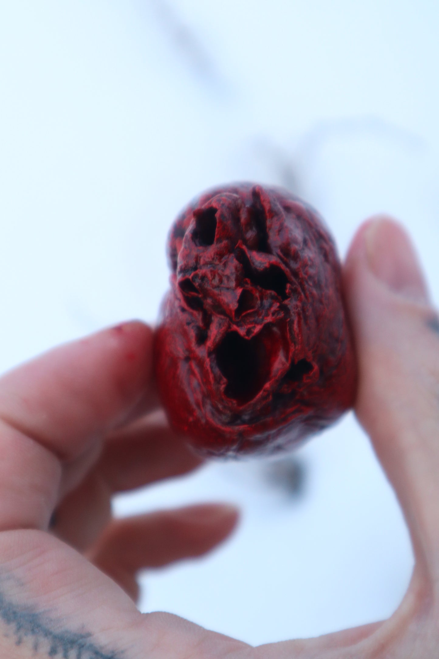 Dry Preserved Red Fox Heart