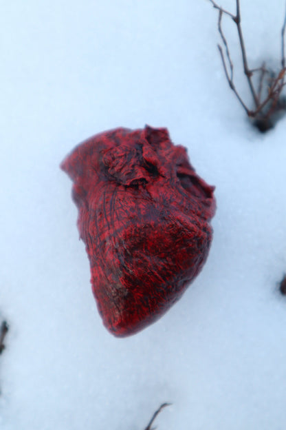 Dry Preserved Bisected Coyote Heart