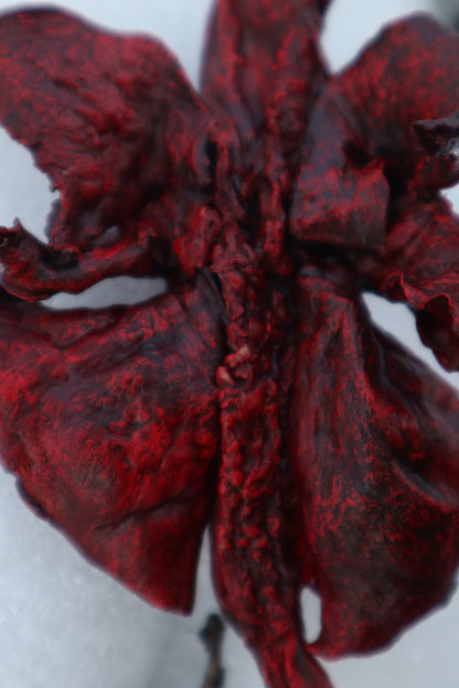 Dry Preserved Red Fox Lungs