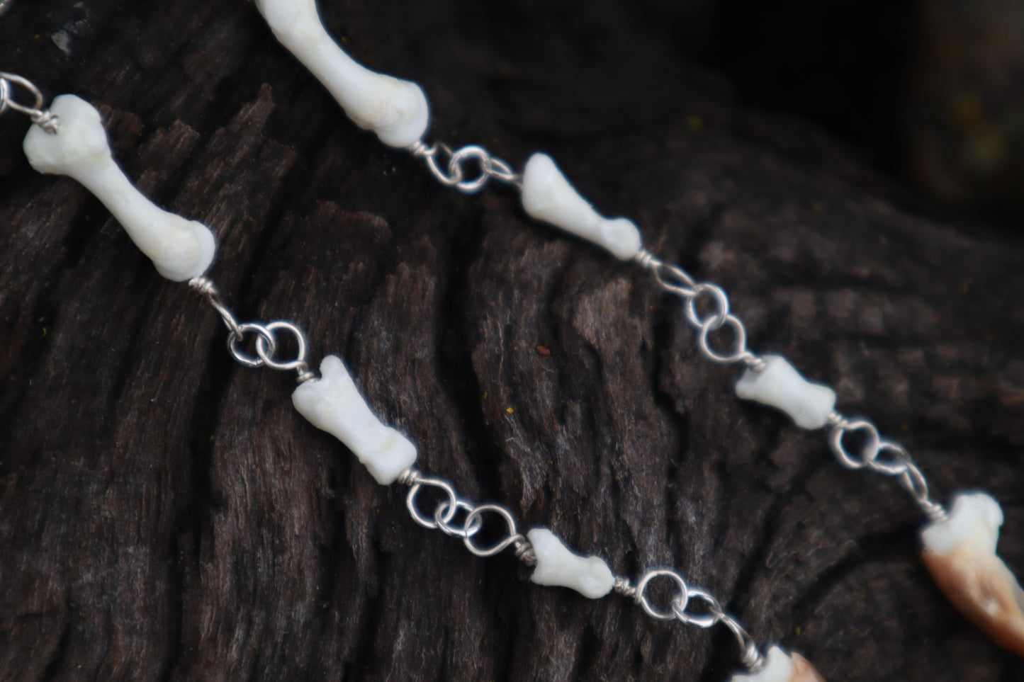 Fluid Porcupine Toe Earrings