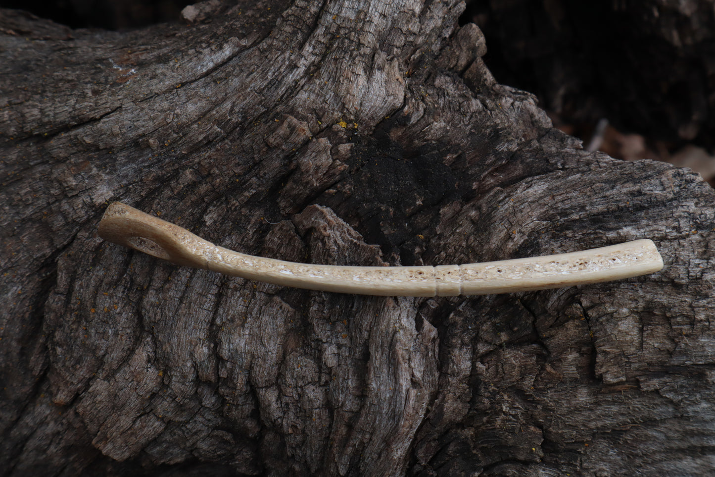 German Shepherd Skeleton Key