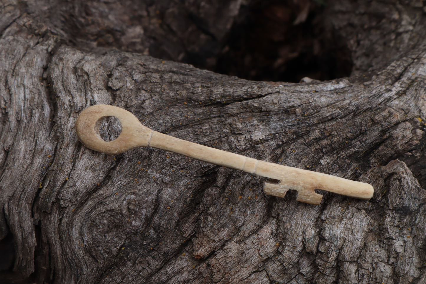 German Shepherd Skeleton Key