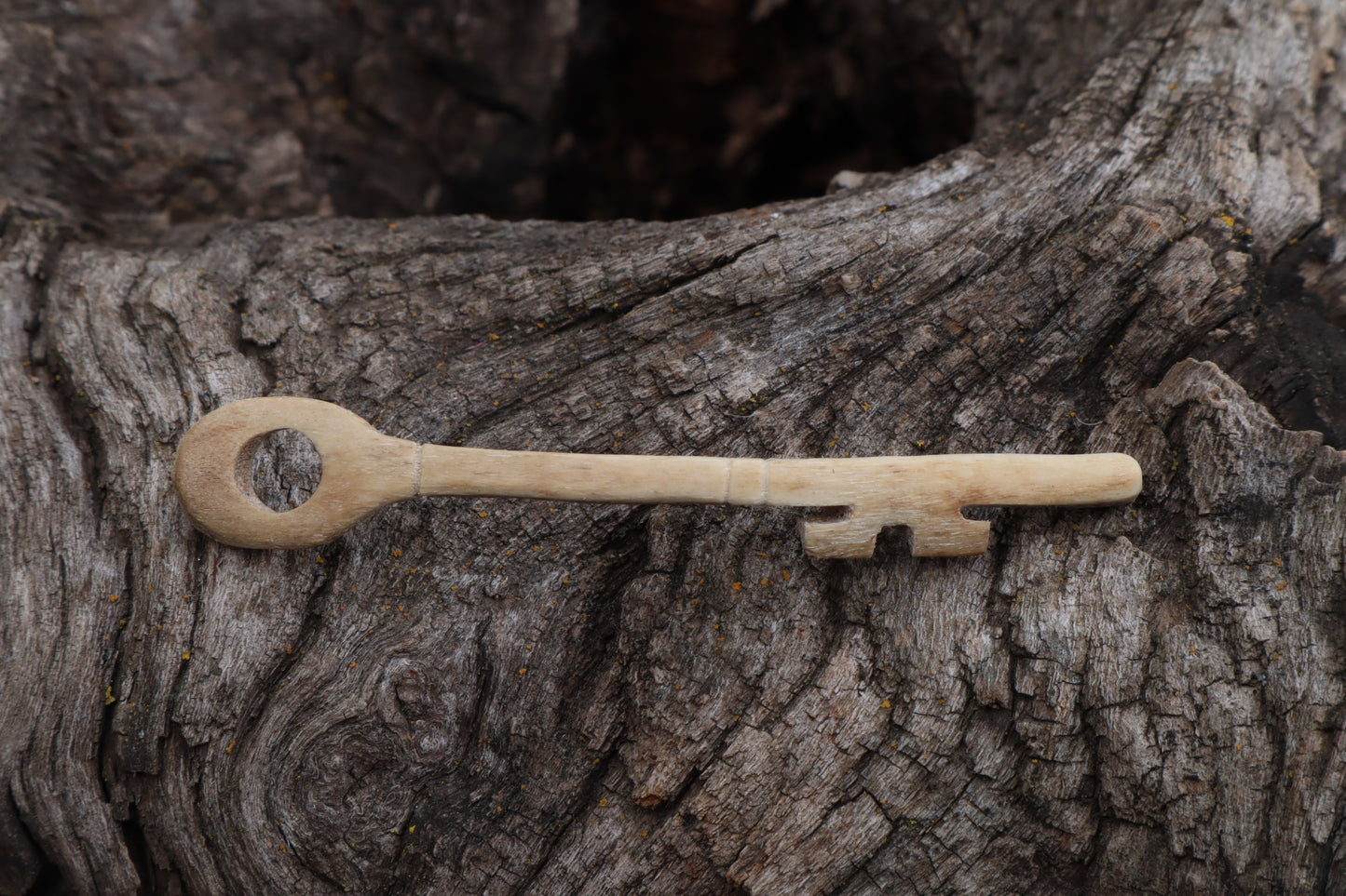 German Shepherd Skeleton Key