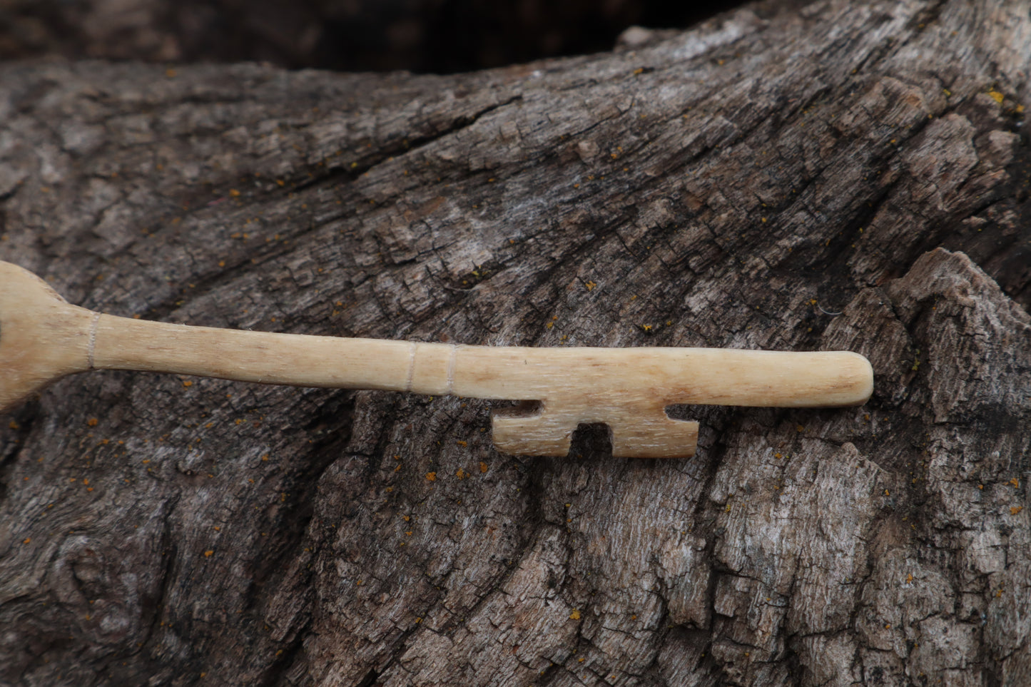 German Shepherd Skeleton Key