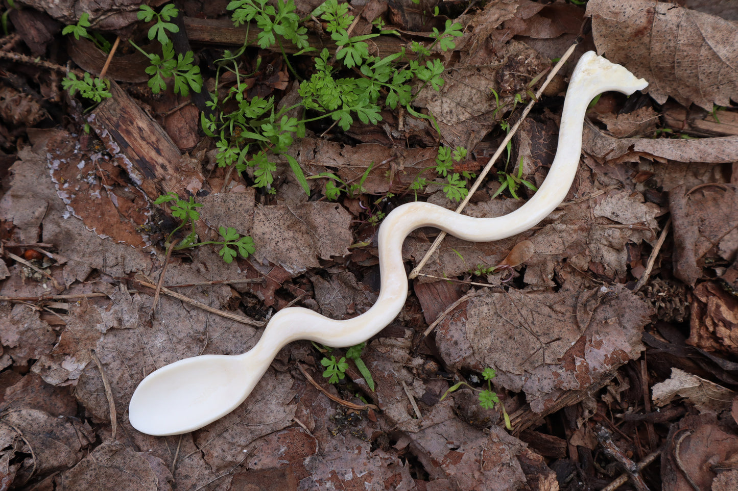 Elk Bone Offering Spoon
