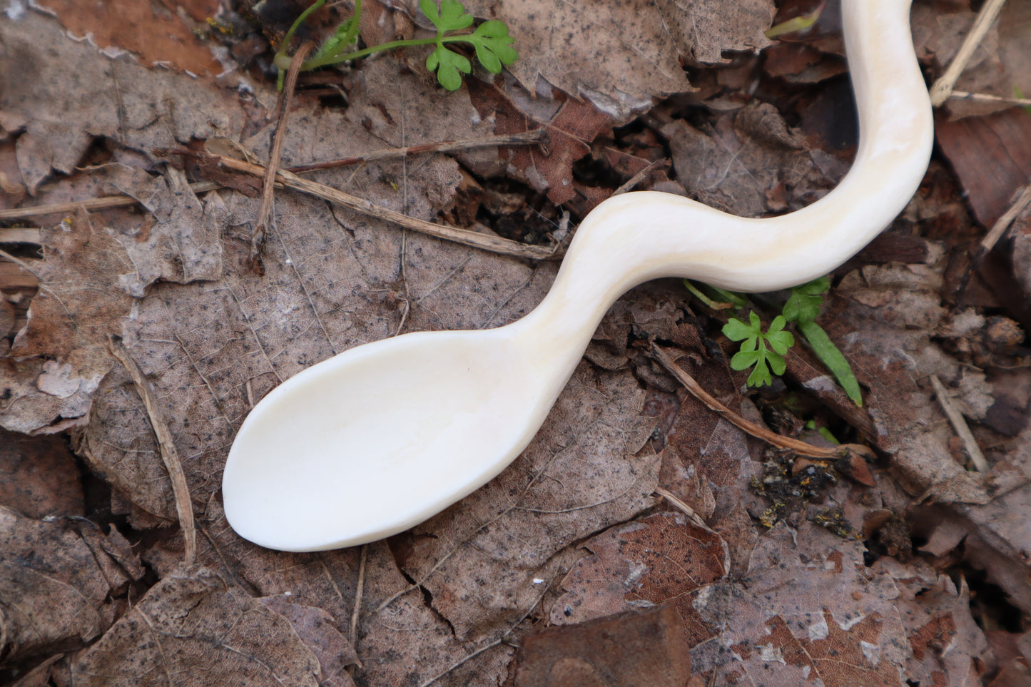 Elk Bone Offering Spoon