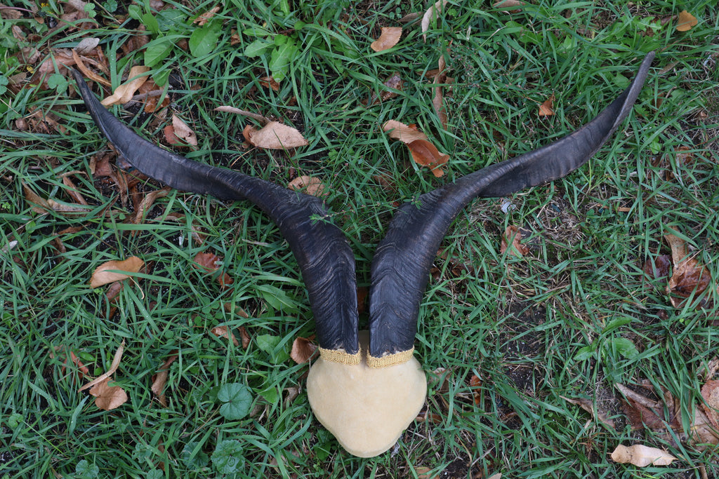 Vintage Catalina Goat Skull Cap with Horns