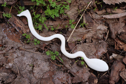 Elk Bone Offering Spoon