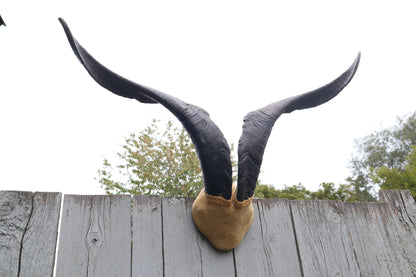 Vintage Catalina Goat Skull Cap with Horns