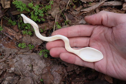 Reserved for Witch.Room - Elk Bone Offering Spoon