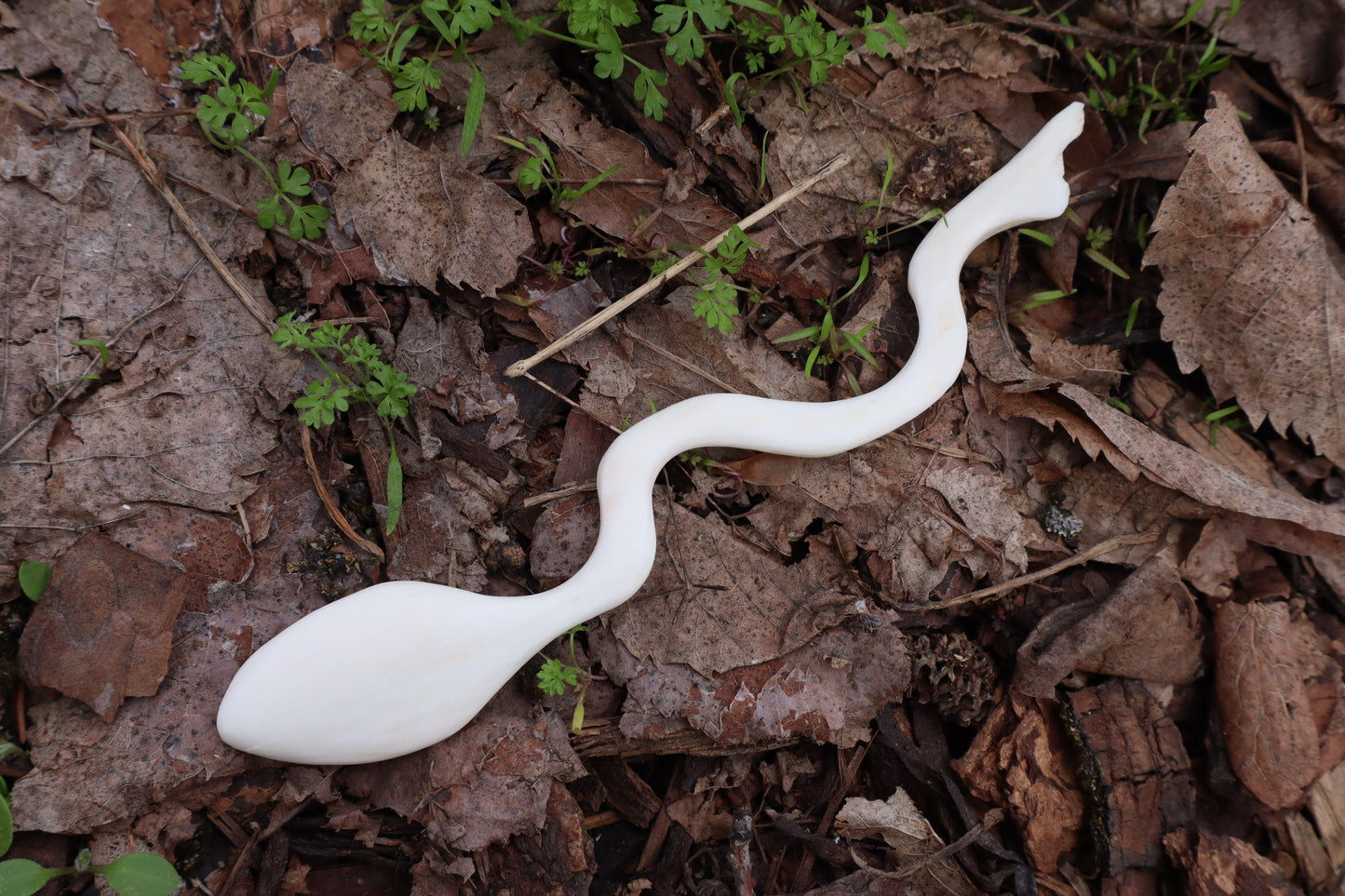 Reserved for Witch.Room - Elk Bone Offering Spoon