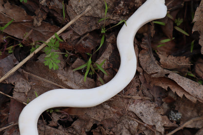 Reserved for Witch.Room - Elk Bone Offering Spoon