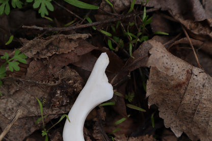 Reserved for Witch.Room - Elk Bone Offering Spoon