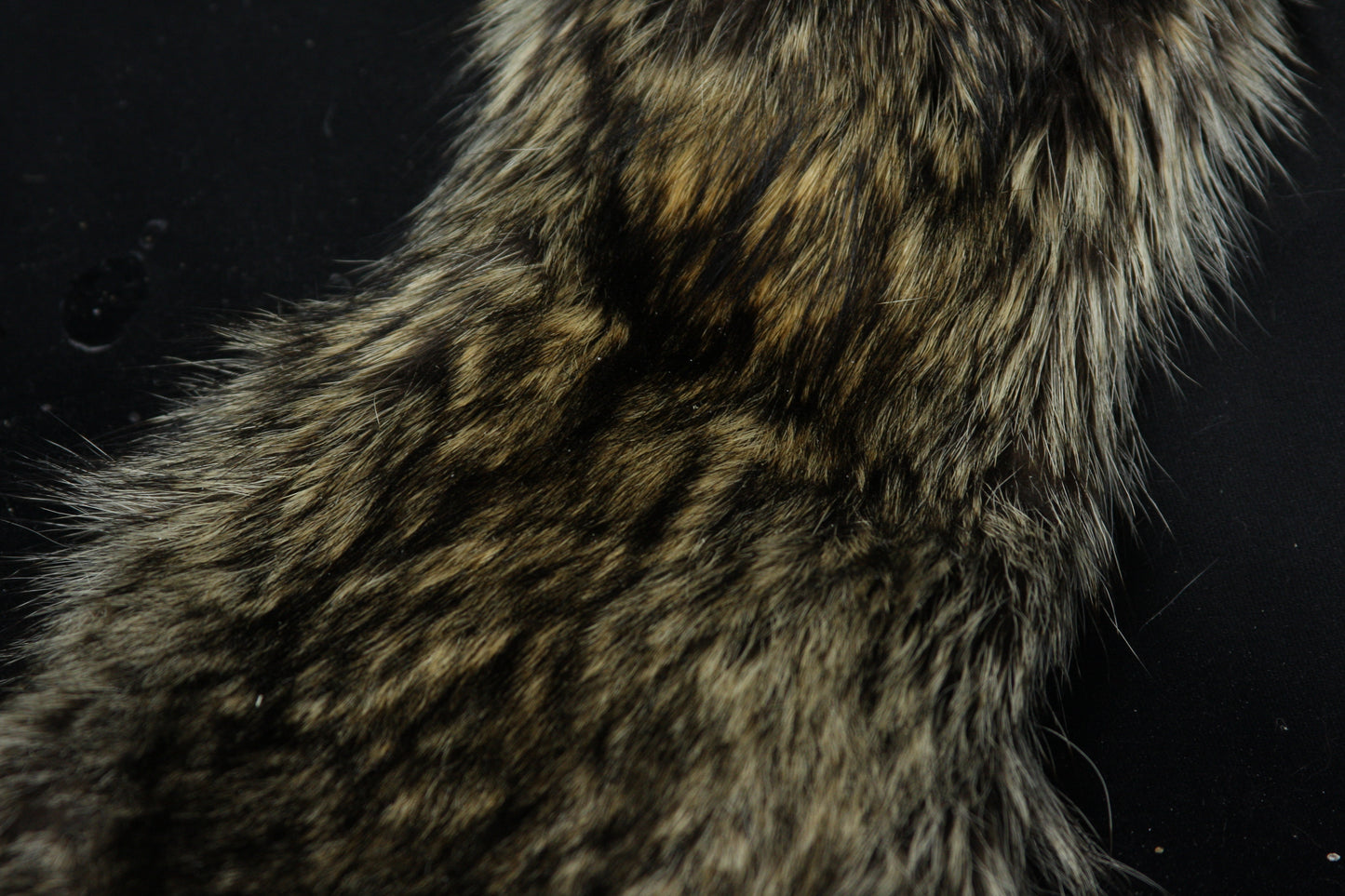 Raccoon Wall Hanger