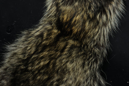 Raccoon Wall Hanger