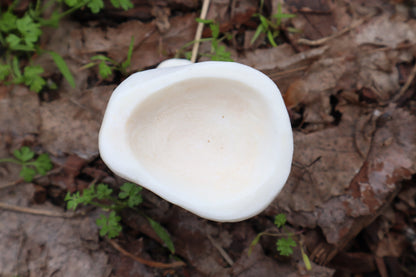 Elk Bone Offering Tools - Chalice and Spoon