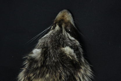 Raccoon Wall Hanger