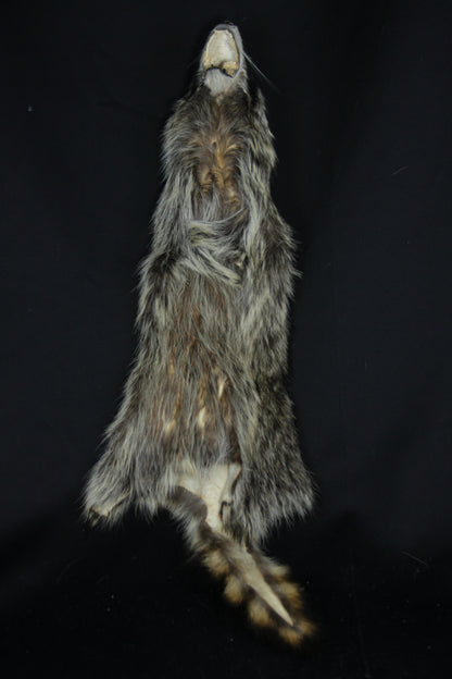 Raccoon Wall Hanger
