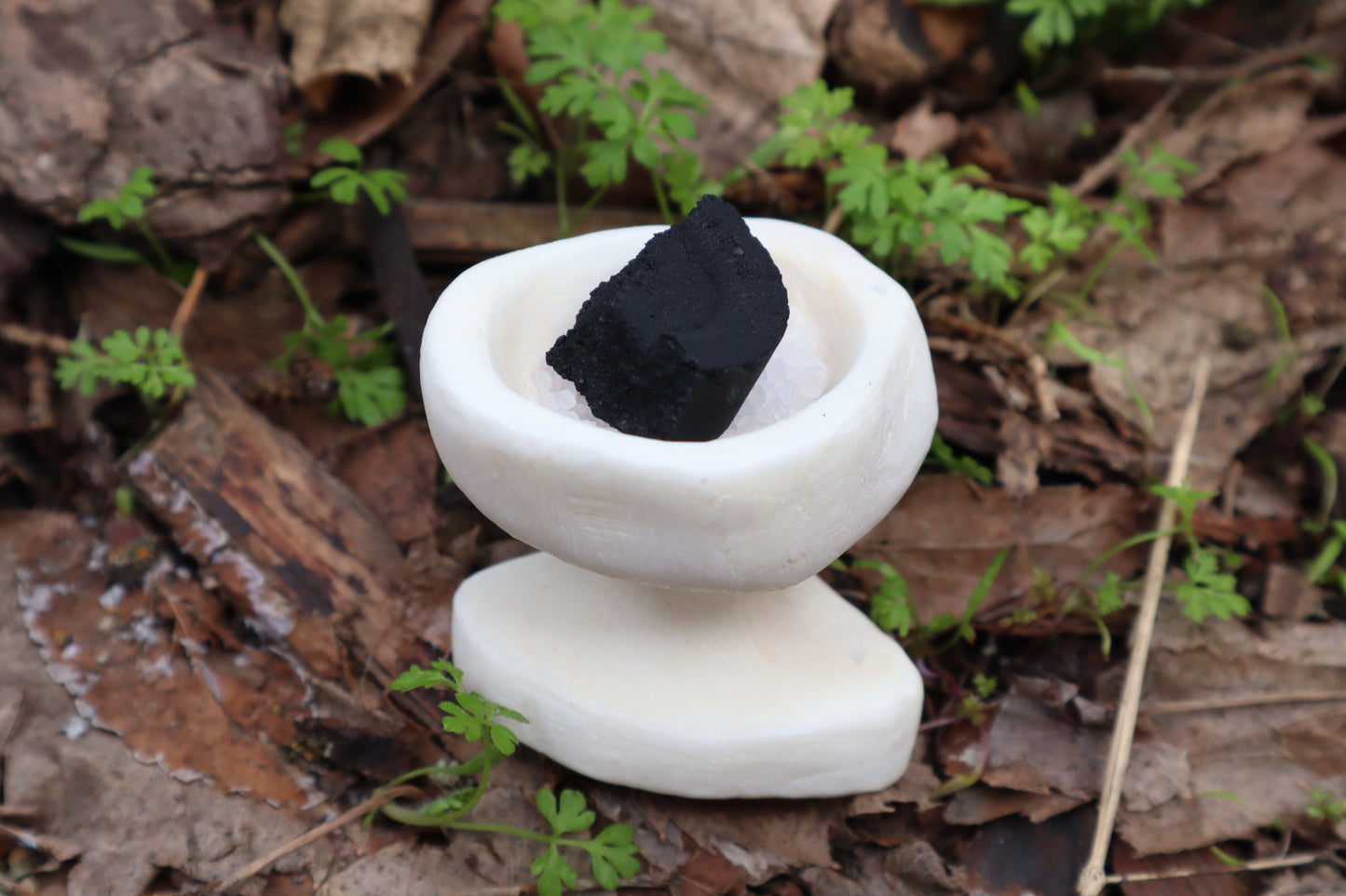 Elk Bone Offering Tools - Chalice and Spoon