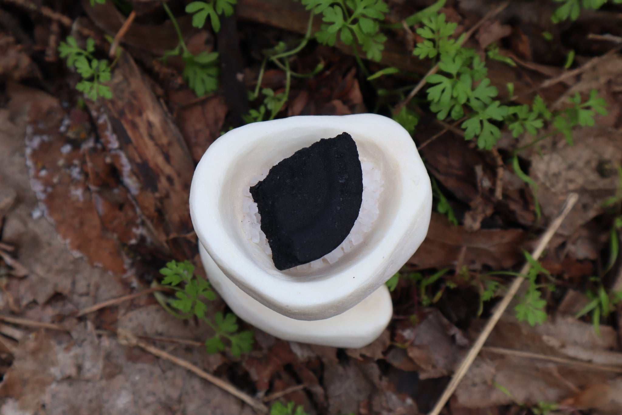 Elk Bone Offering Tools - Chalice and Spoon