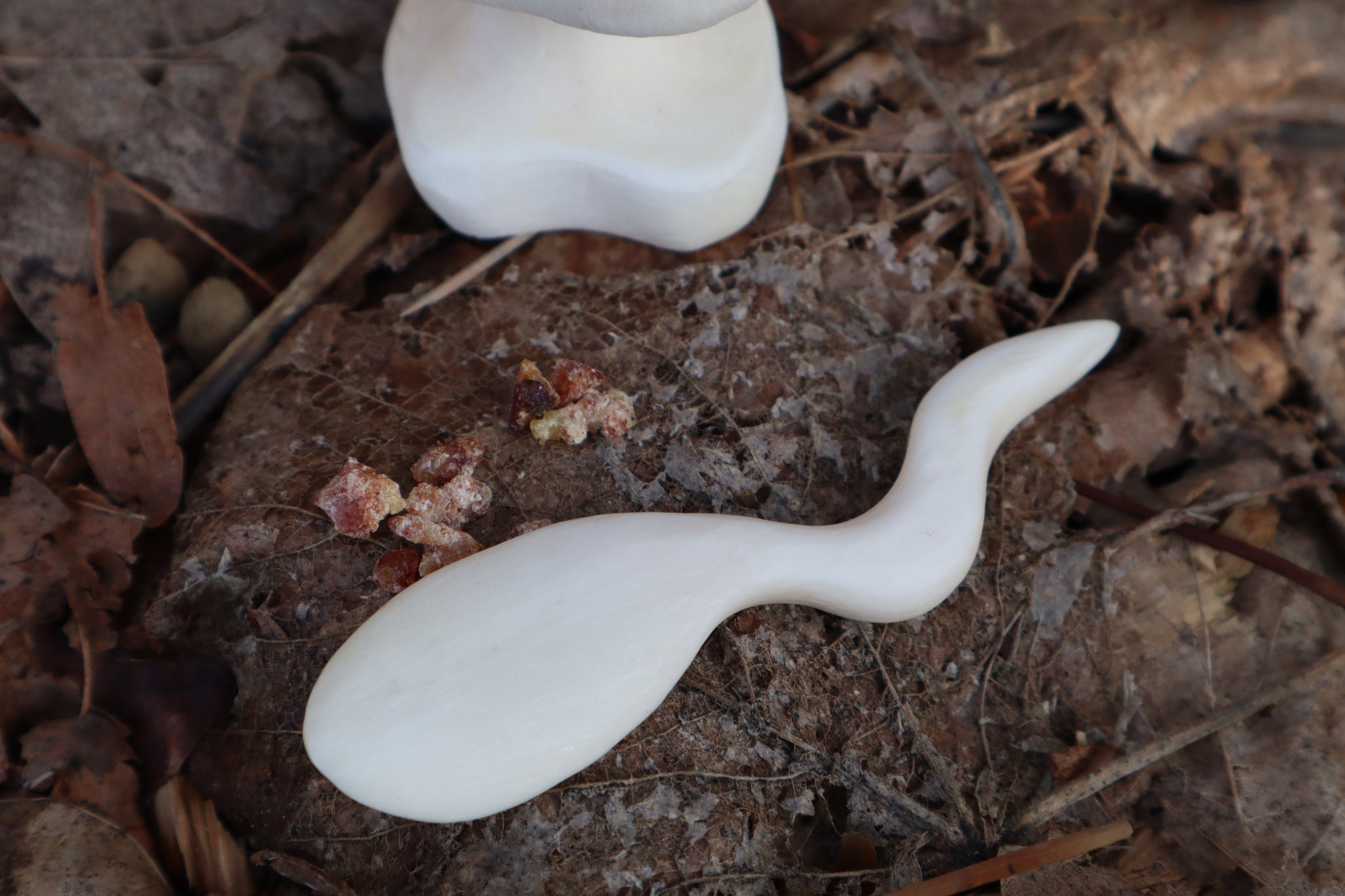 Elk Bone Offering Tools - Chalice and Spoon