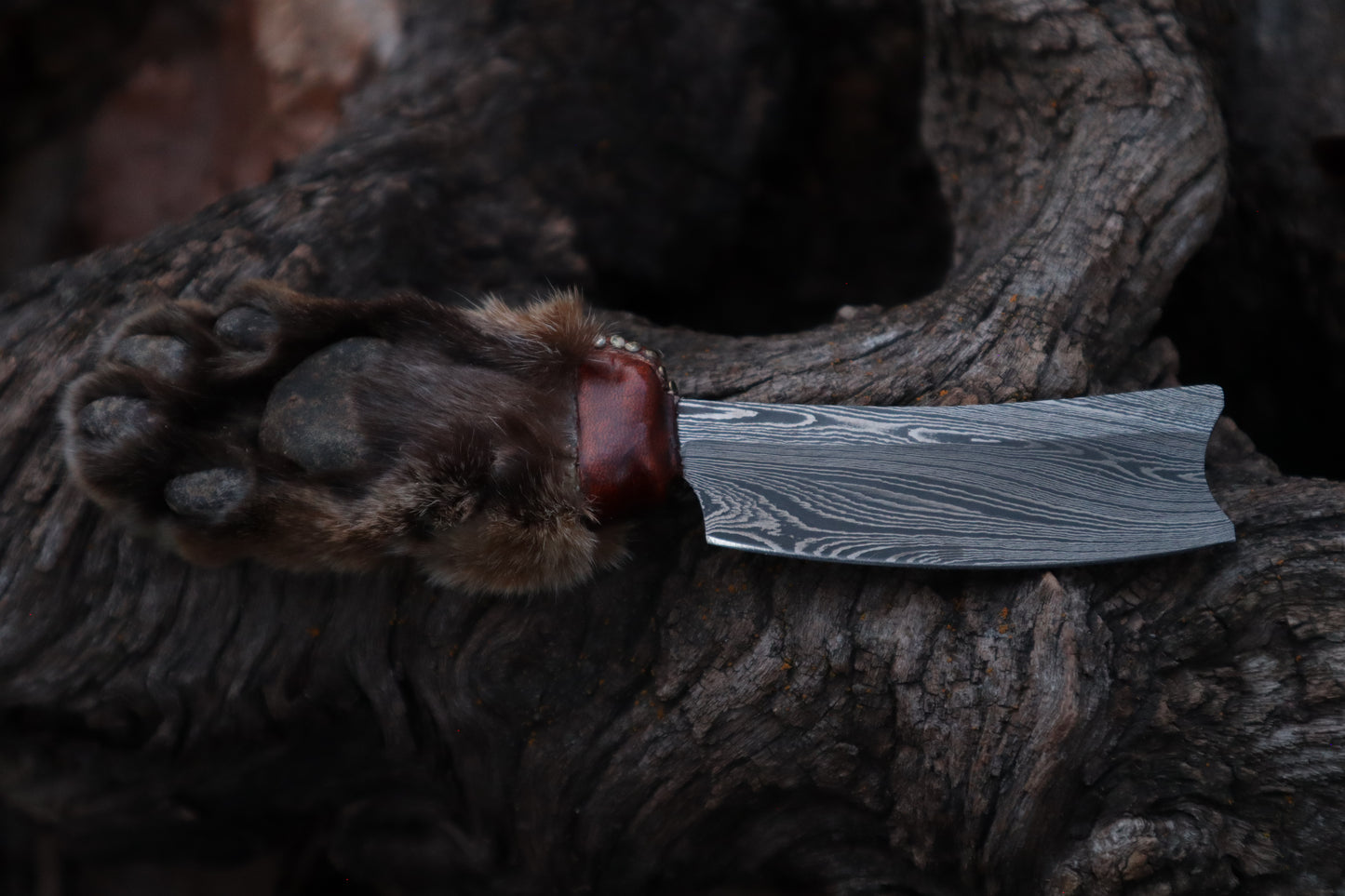 Damascus Bobcat Paw Cleaver