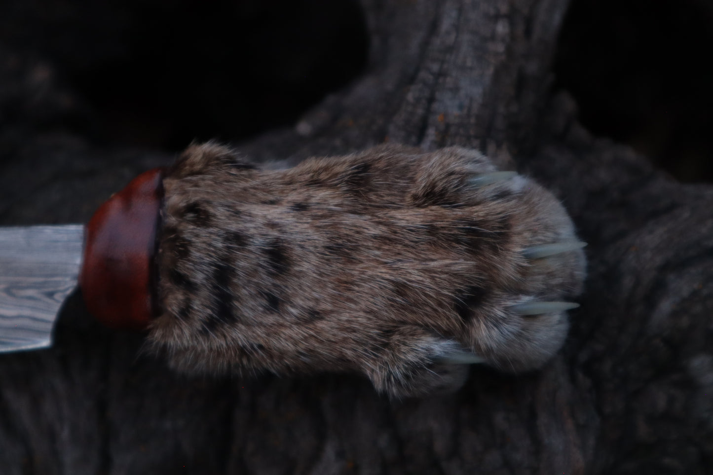 Damascus Bobcat Paw Cleaver