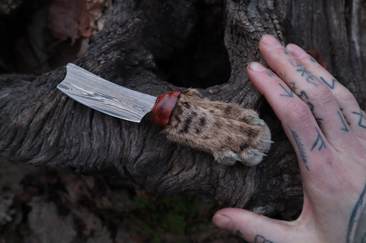 Damascus Bobcat Paw Cleaver