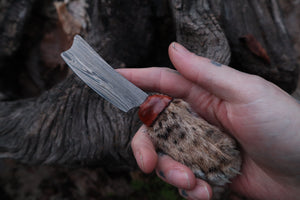 Damascus Bobcat Paw Cleaver