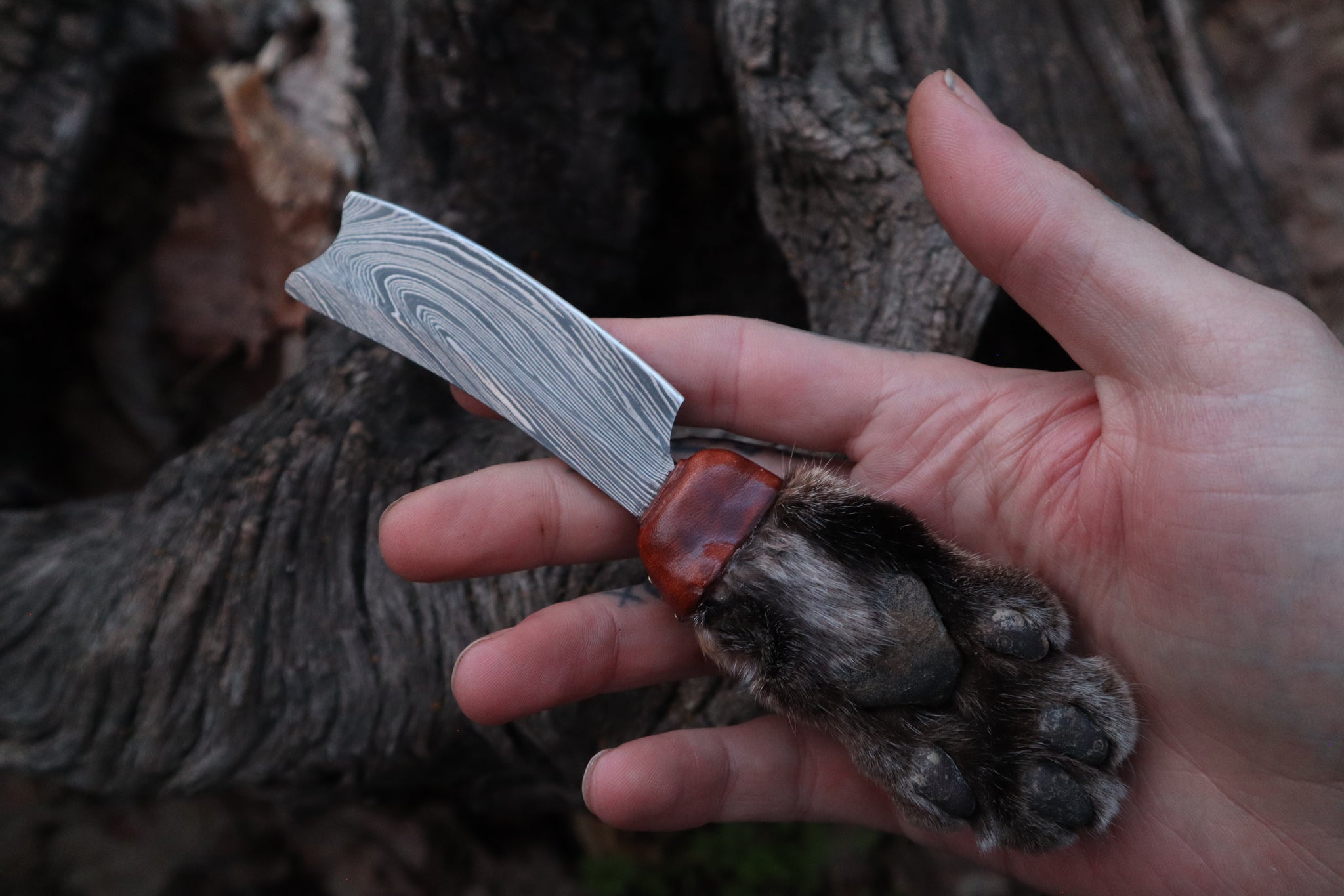 Damascus Bobcat Paw Cleaver