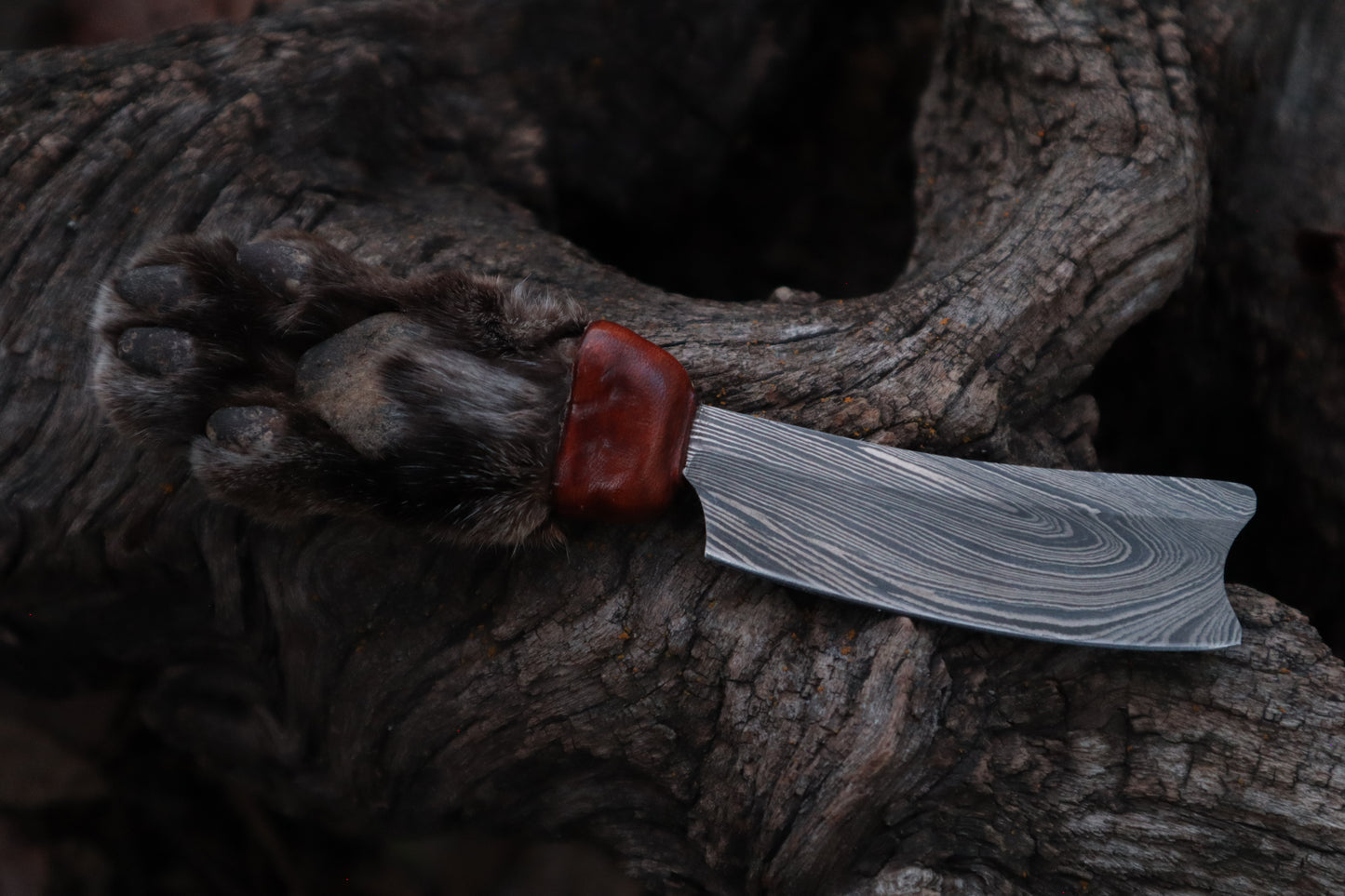 Damascus Bobcat Paw Cleaver