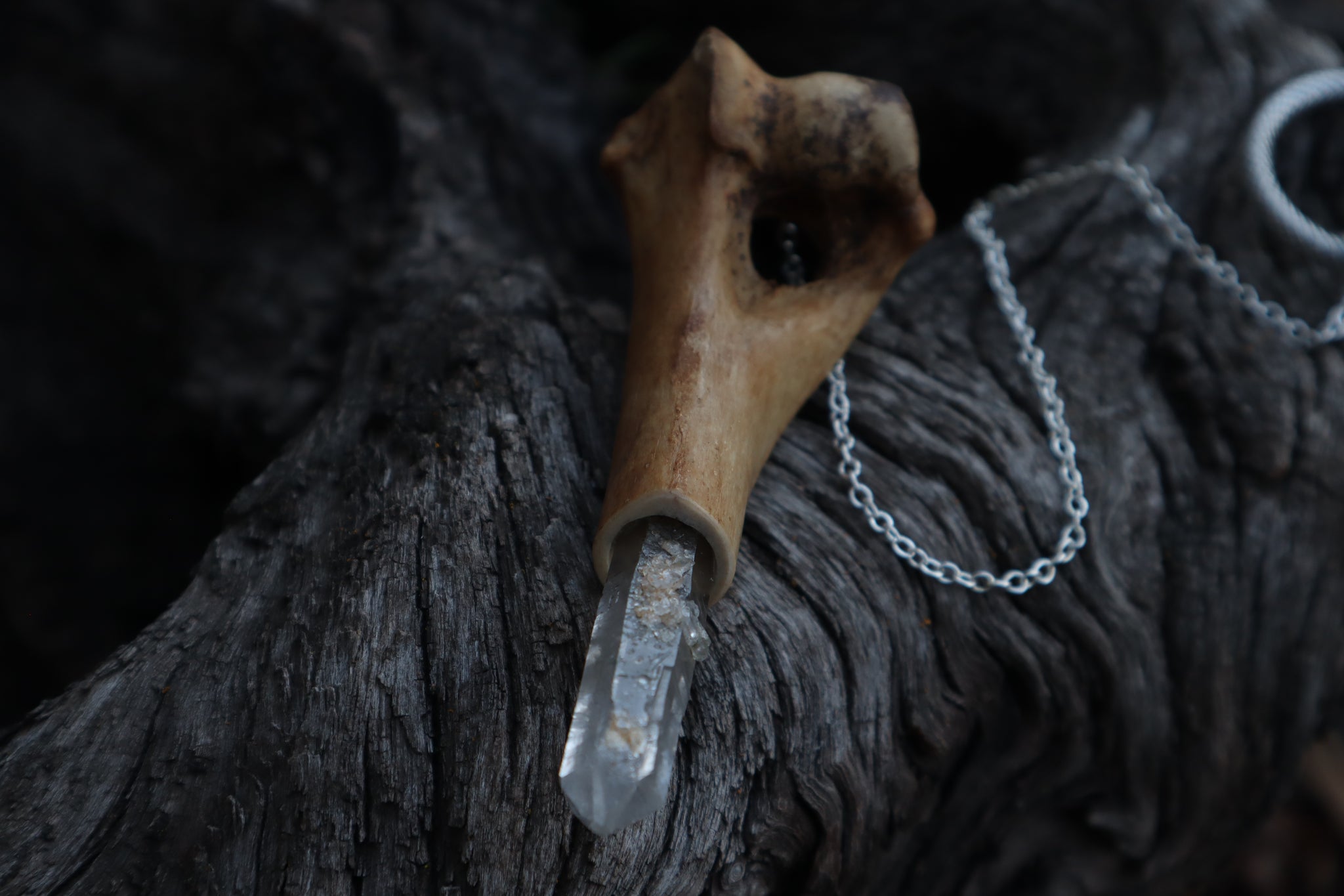 Great Pyrenees Humerus Pendulum with Ouroboros Ring