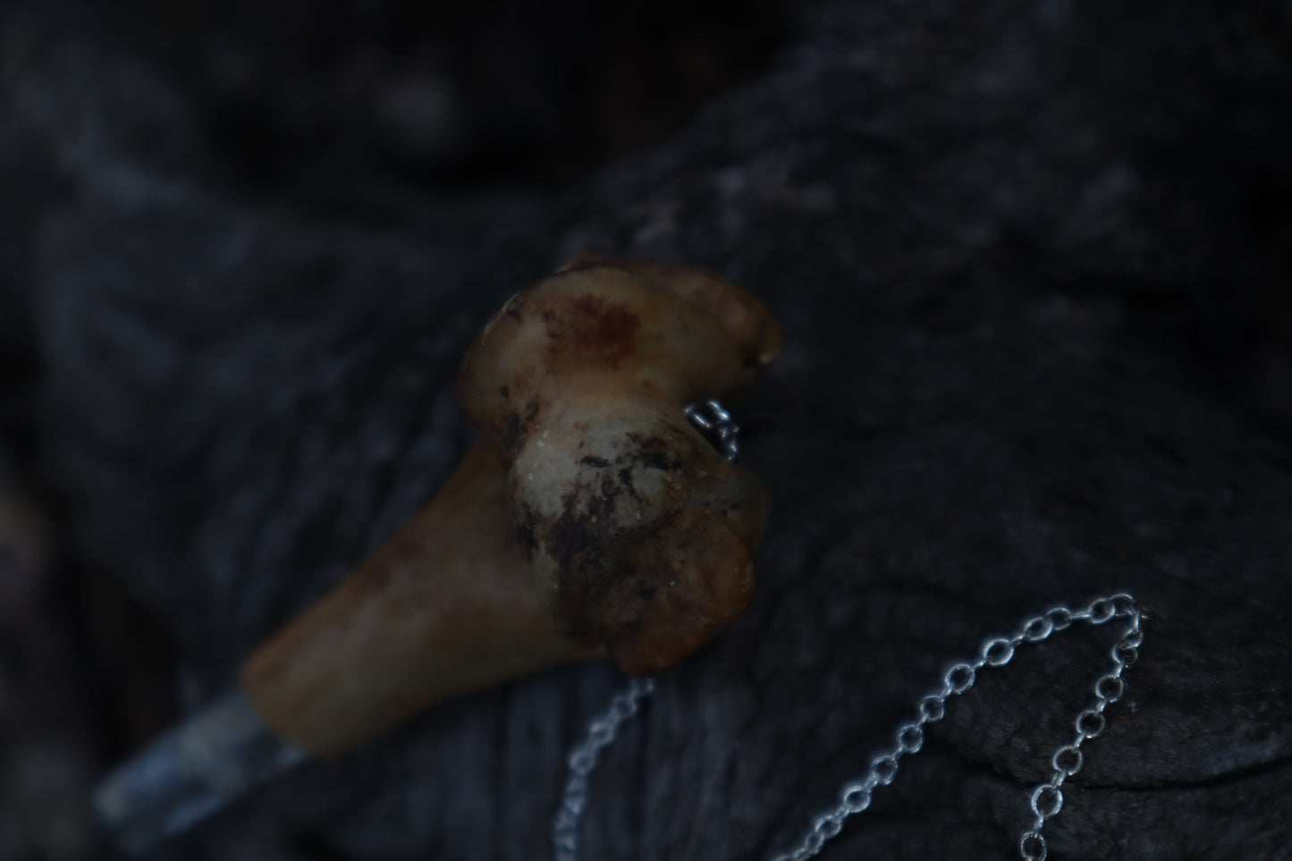 Great Pyrenees Humerus Pendulum with Ouroboros Ring
