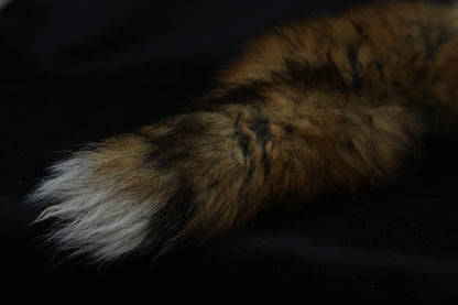 Lifesize Red Fox Wall Hanger