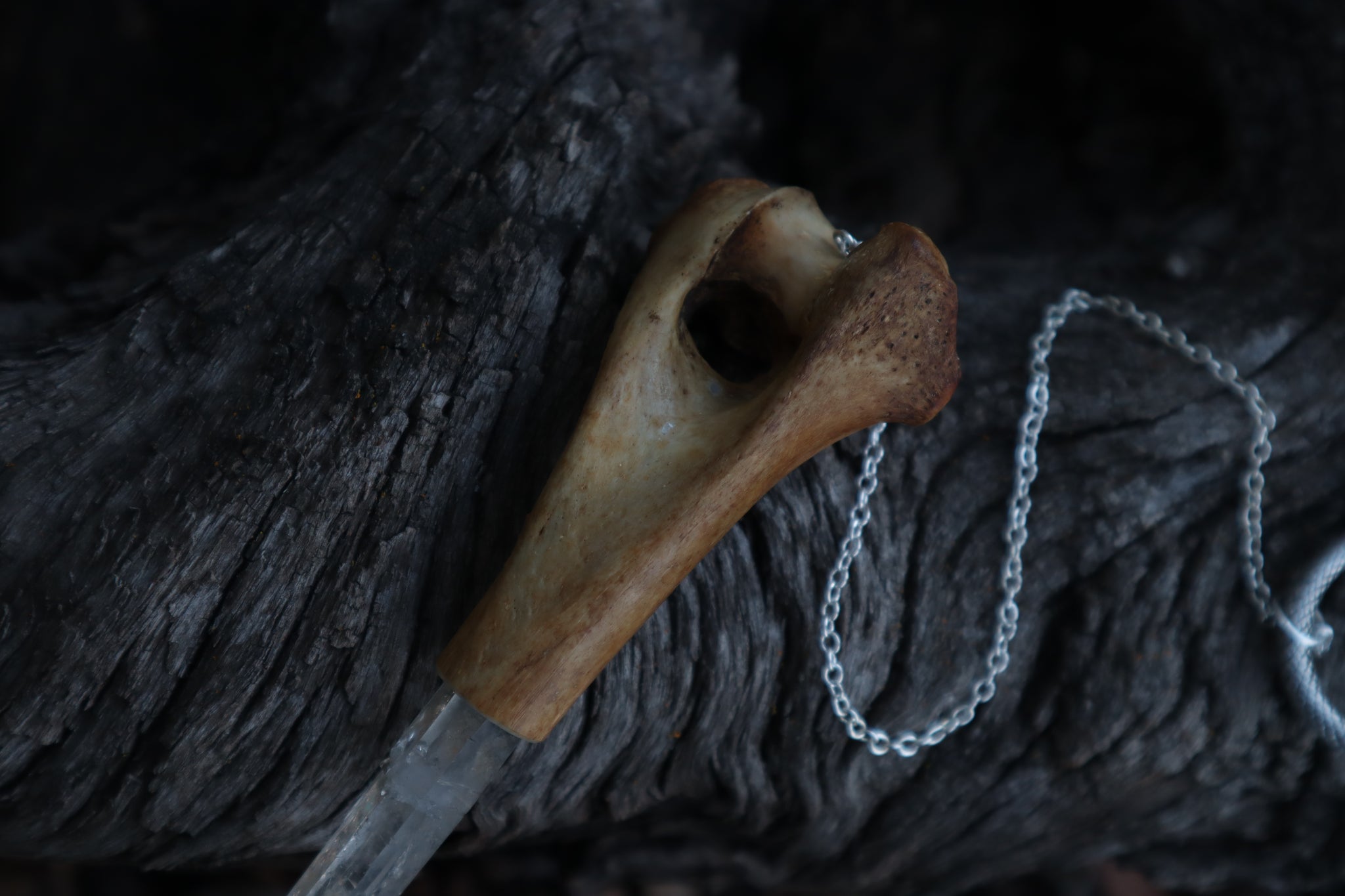 Great Pyrenees Humerus Pendulum with Ouroboros Ring