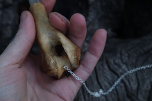 Great Pyrenees Humerus Pendulum with Ouroboros Ring