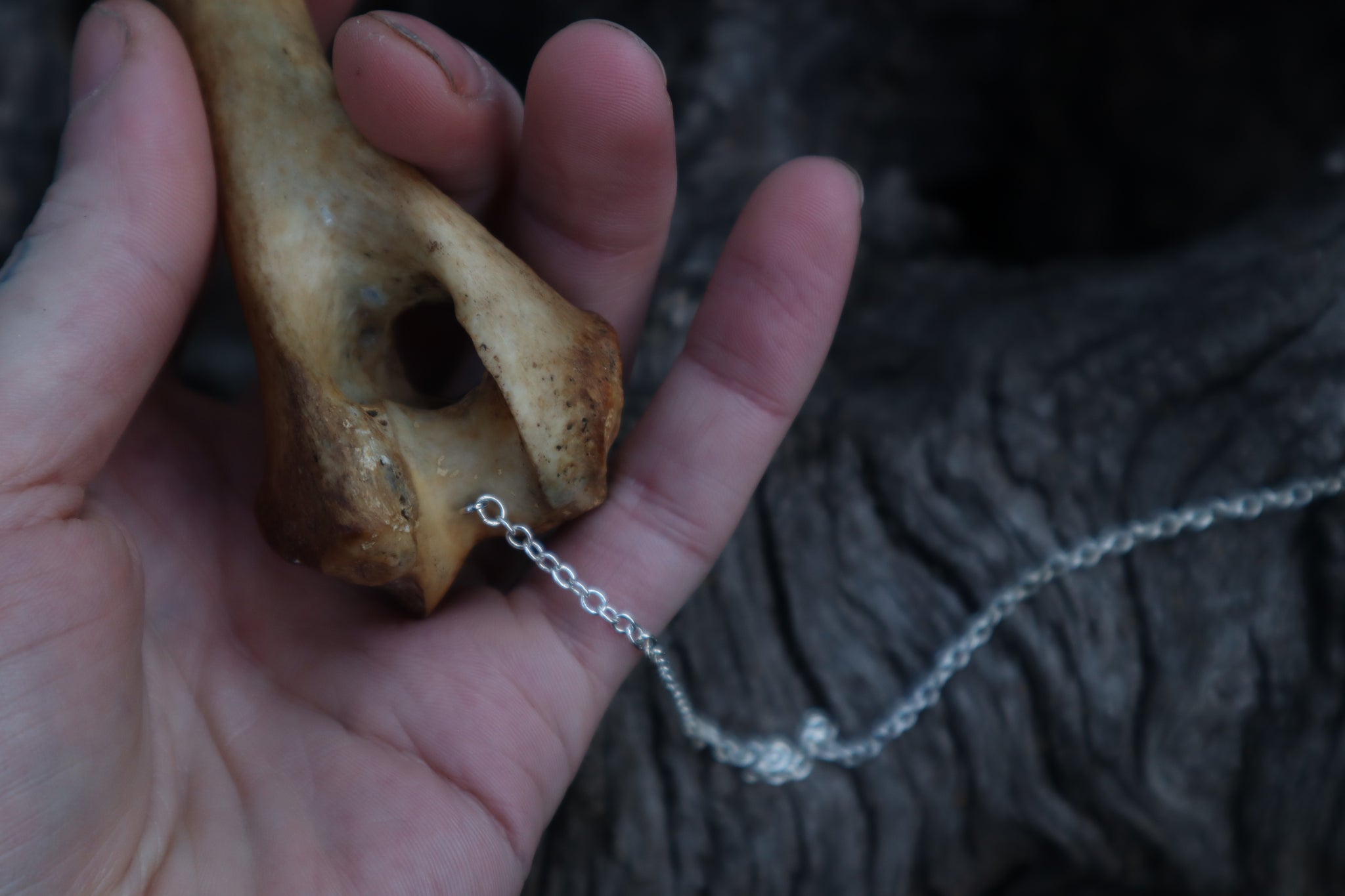 Great Pyrenees Humerus Pendulum with Ouroboros Ring