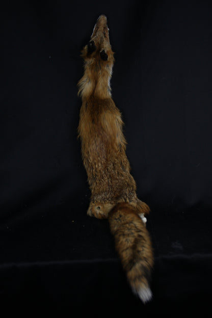 Lifesize Red Fox Wall Hanger