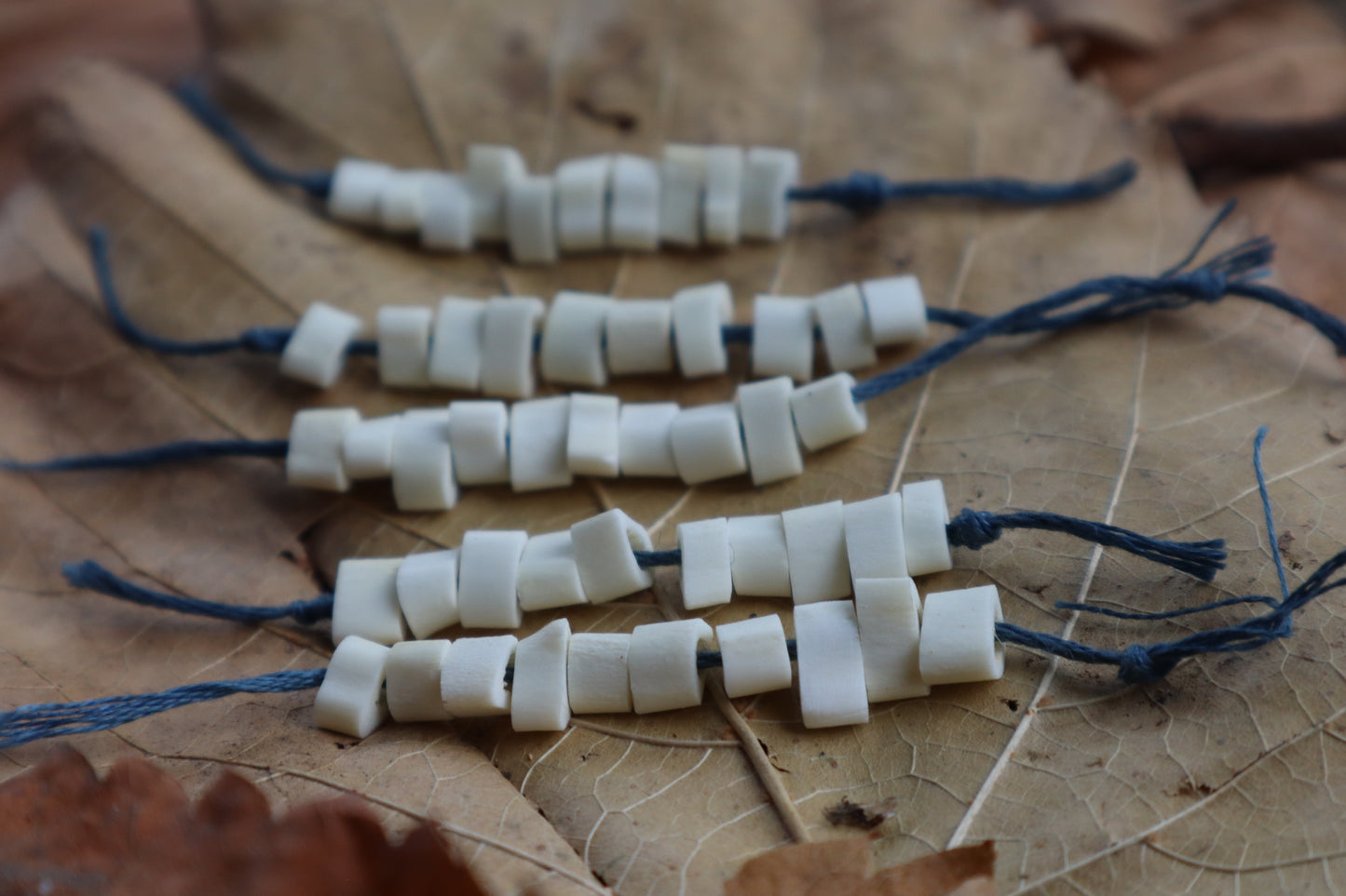 Bobcat Bone Beads
