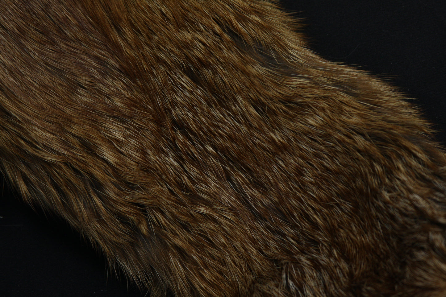 Lifesize Red Fox Wall Hanger