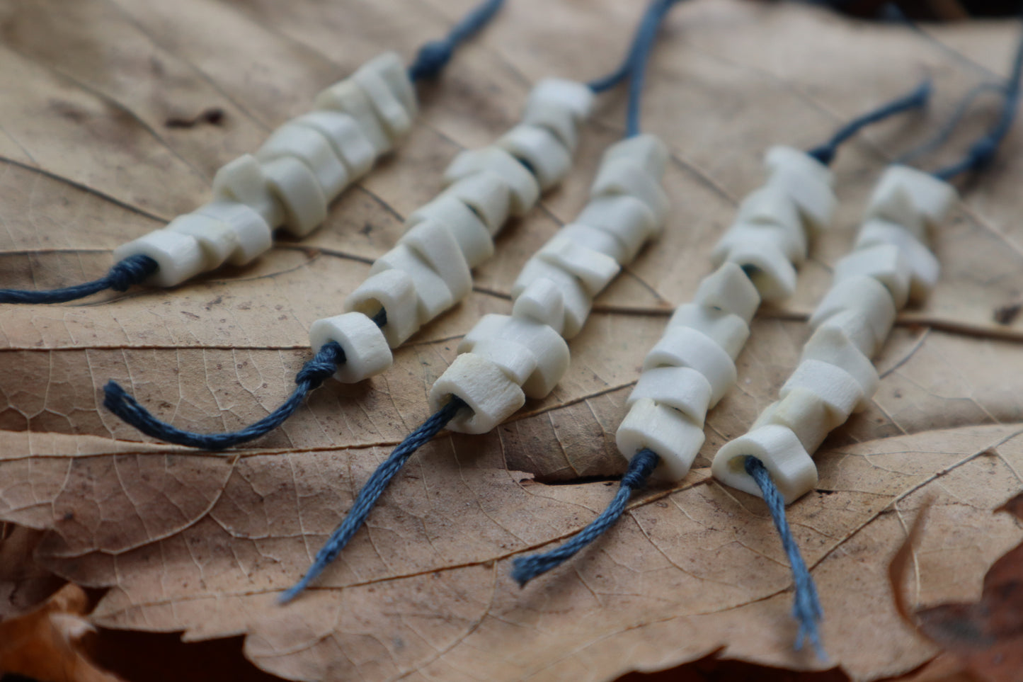 Bobcat Bone Beads