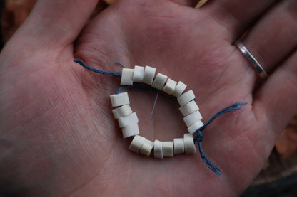 Bobcat Bone Beads