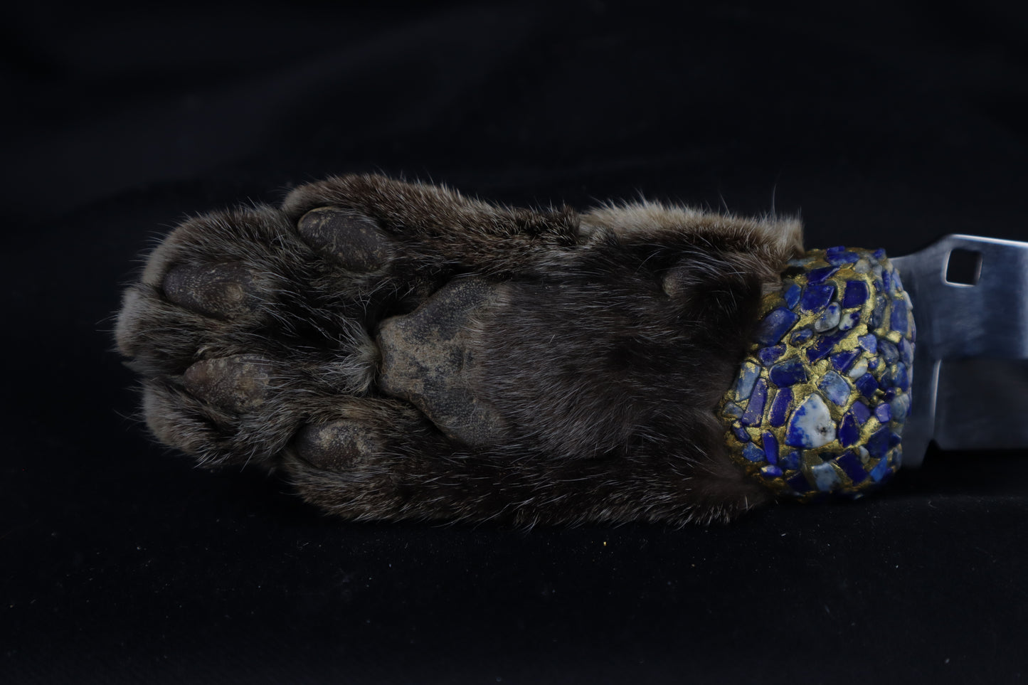 Bobcat Pawket Knife with Extended Claws Knife