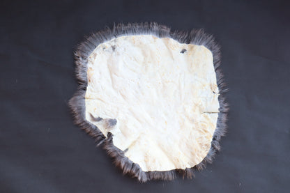 Soft Tanned Rabbit Pelt