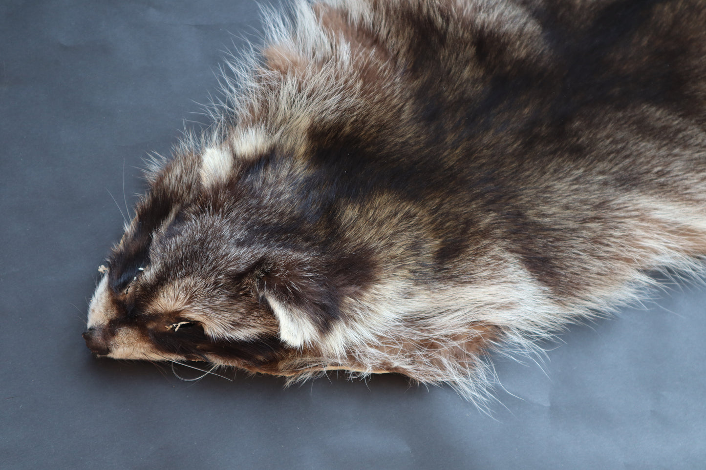 Soft Tanned Raccoon Pelt