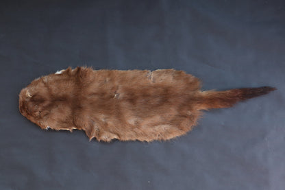 Soft Tanned Mink Pelt