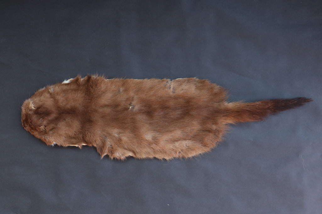 Soft Tanned Mink Pelt