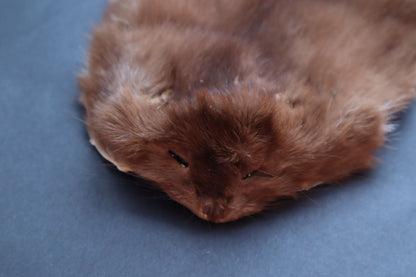 Soft Tanned Mink Pelt